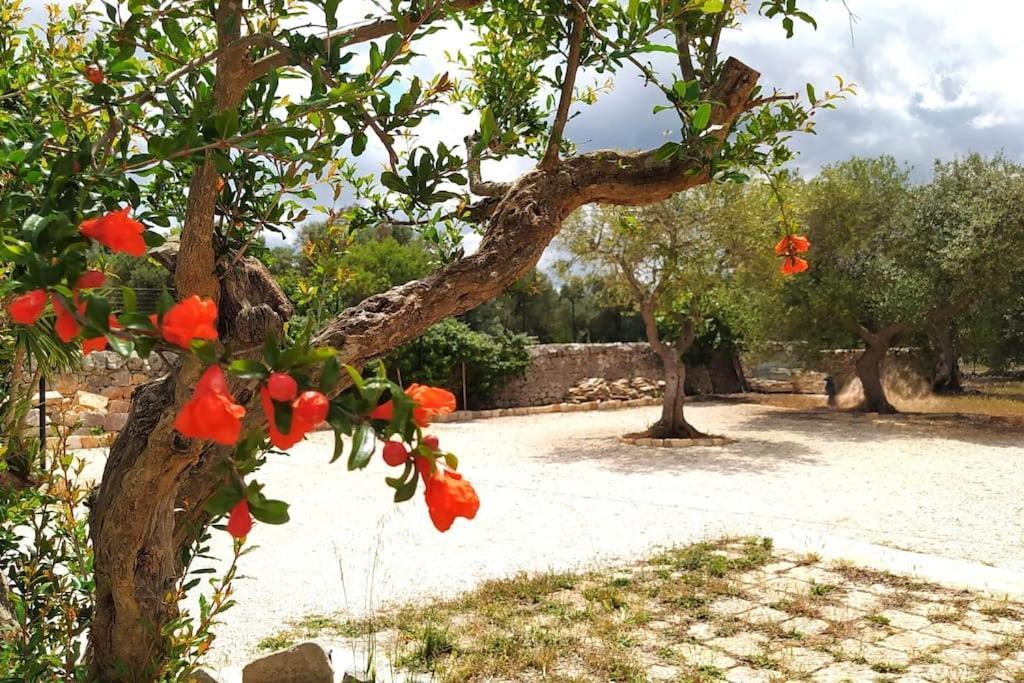 Trullo Mami Putignano Exterior foto